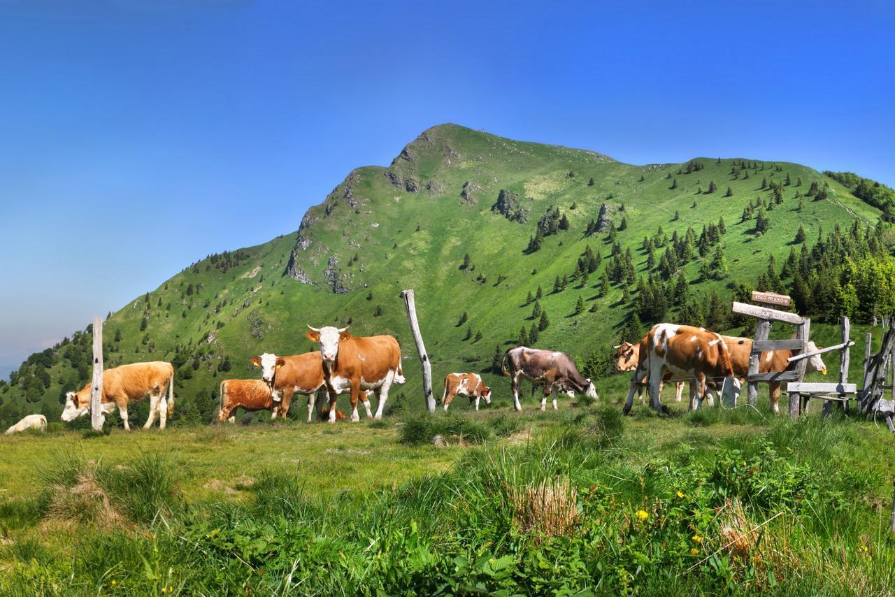 Prenocisca Cerkno Hostel Exterior photo