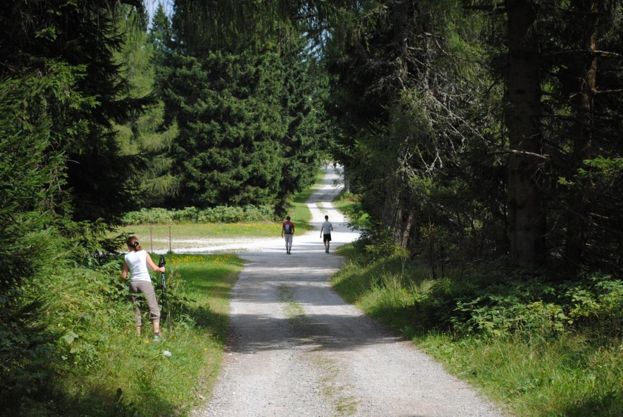 Prenocisca Cerkno Hostel Exterior photo