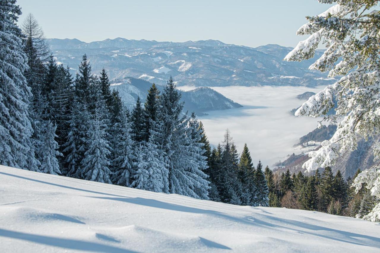 Prenocisca Cerkno Hostel Exterior photo